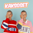 kaksoset cover image