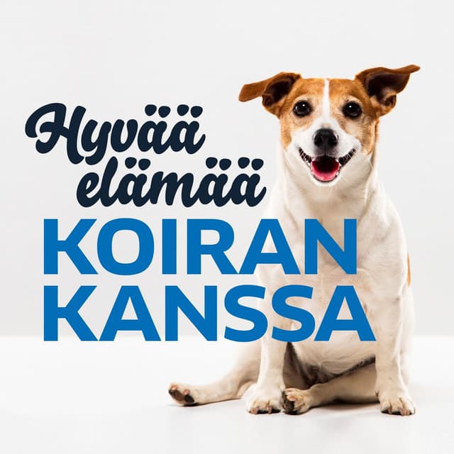Hyvää elämää koiran kanssa cover