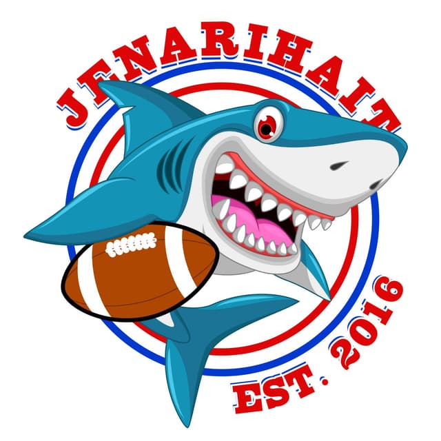 NFL Jenarihait cover