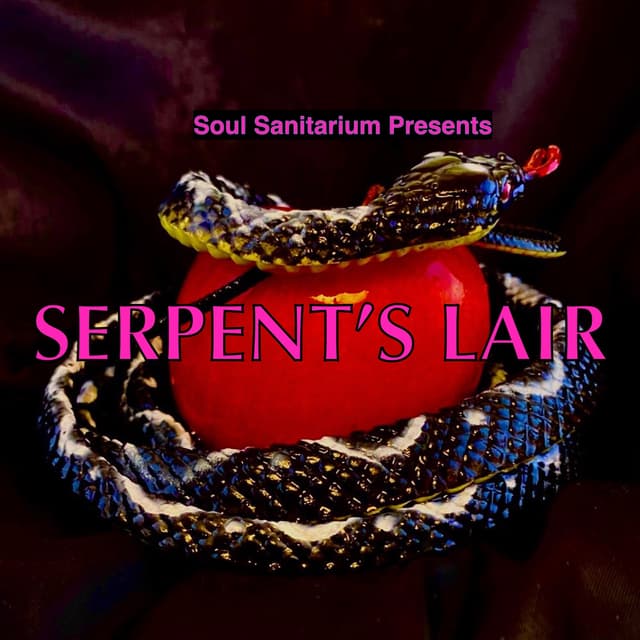 Soul Sanitarium Podcast cover