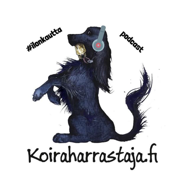 #ilonkautta cover