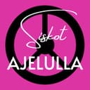 Siskot Ajelulla cover
