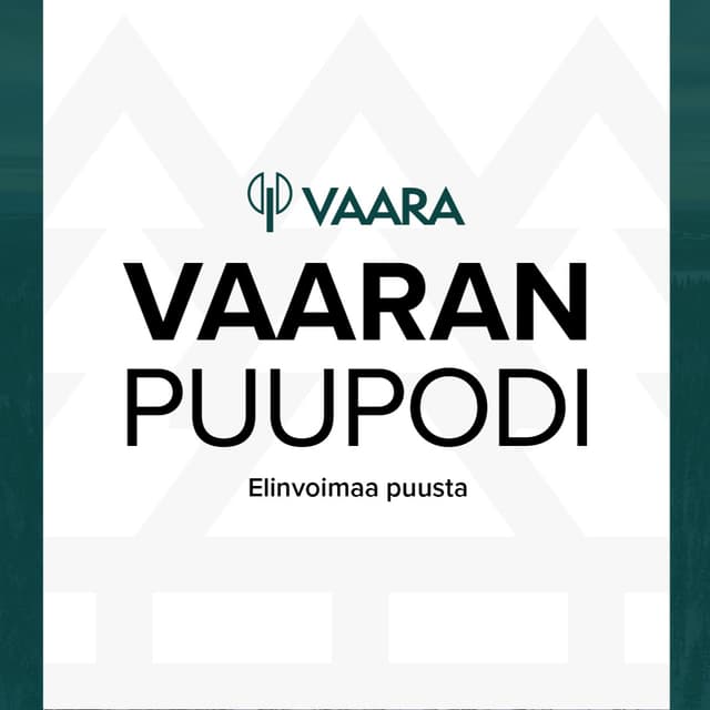 Vaaran Puupodi cover