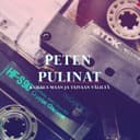 Peten Pulinat cover