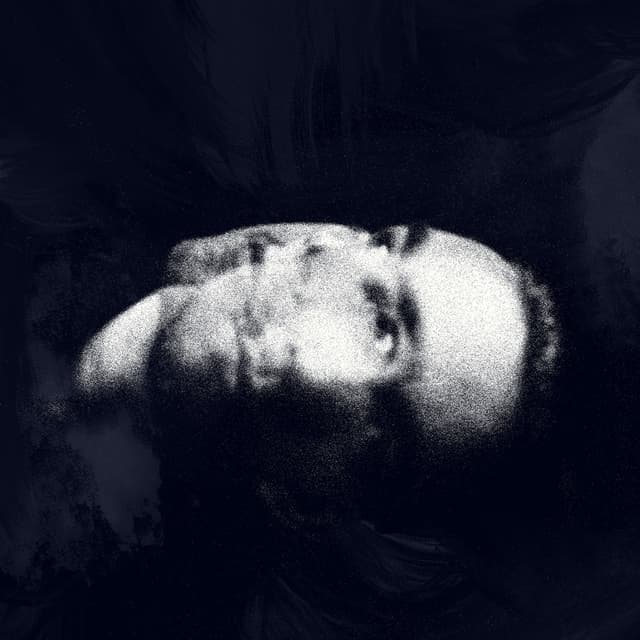 Markus Perttula cover