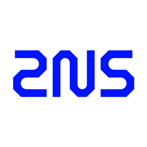2NS – Tietoturvan asiantuntijat cover