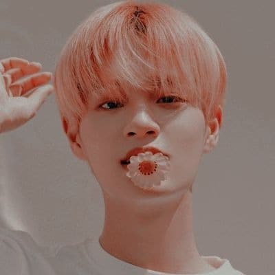kpop covers & songs cover