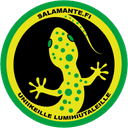 Salamantefi cover
