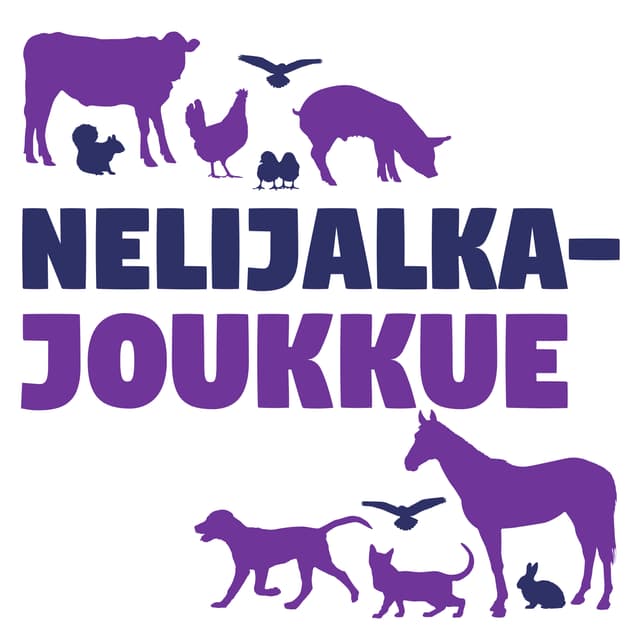 Nelijalkajoukkue cover
