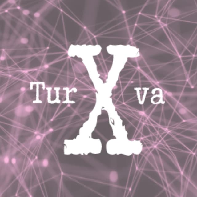 TurvaX -hanke cover
