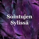 Sointujen Sylissä cover
