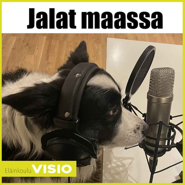 Jalat maassa cover