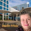 Stadin friidu cover