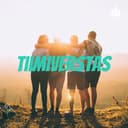 Tiimiverstas cover
