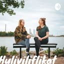 Huliviliflikat cover