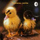 Mamman poika-podcast cover