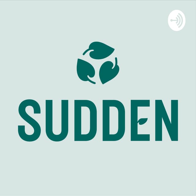 Lääkkeet ja ympäristö cover