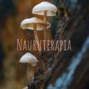Nauruterapia cover