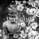 Bodhidharma cover