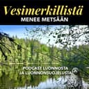 Vesimerkillistä cover