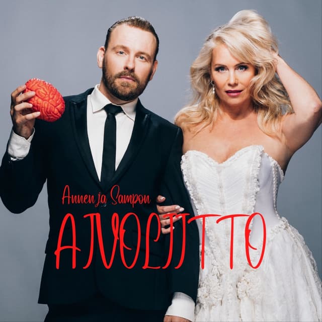 Annen ja Sampon aivoliitto cover