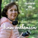 Ihan metsässä cover