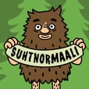 Suhtnormaali cover