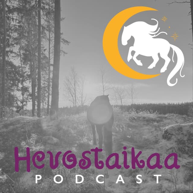 Hevostaikaa cover