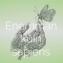 Enemmän kuin sapiens: keskusteluja ihmiskeskeisyyden ylittämisestä cover