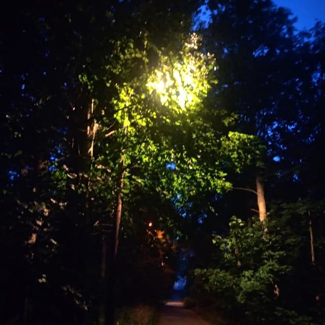 Ääniviesti cover