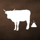 Bull Shit Podcast cover