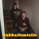 Rokkailemisiin cover