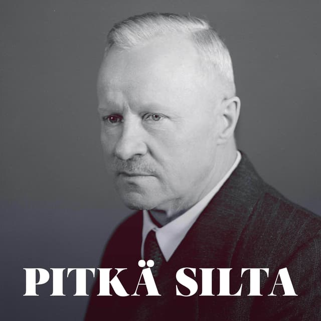Pitkä silta cover