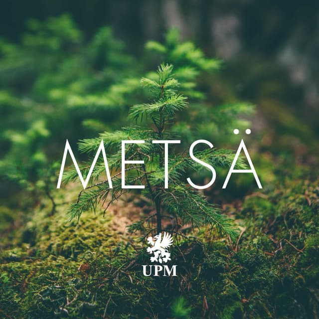 Metsä cover