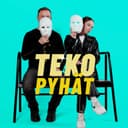 Tekopyhät cover