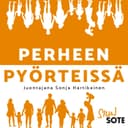 Perheen pyörteissä cover