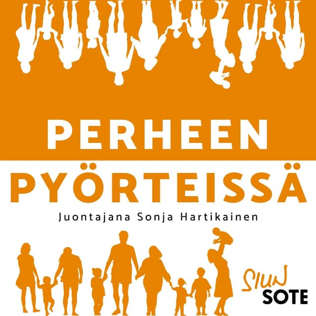 Perheen pyörteissä cover