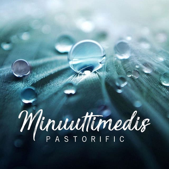 Minuuttimedis cover