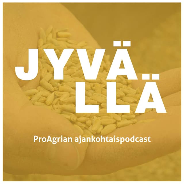 Jyvällä cover
