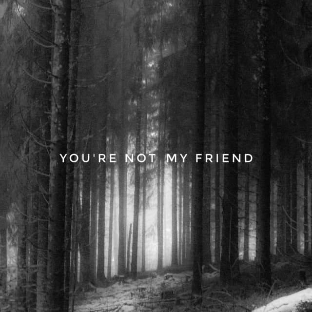 You're Not My Friend cover