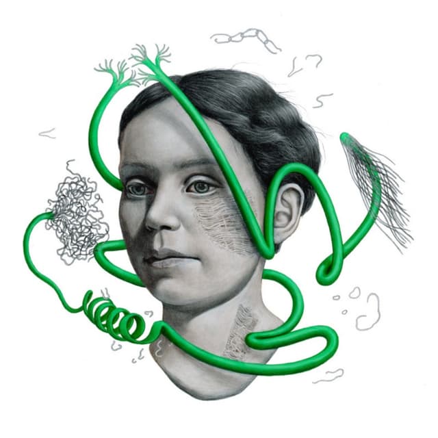 HARMAA - Indirect Philosophy as a Form of Resistance Project cover